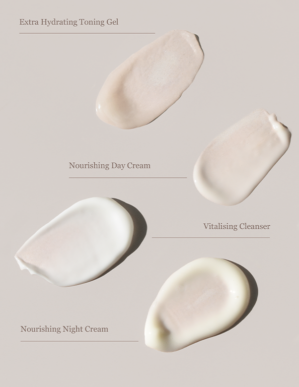 Daily Nourishment Bundle for Normal & Combination Skin