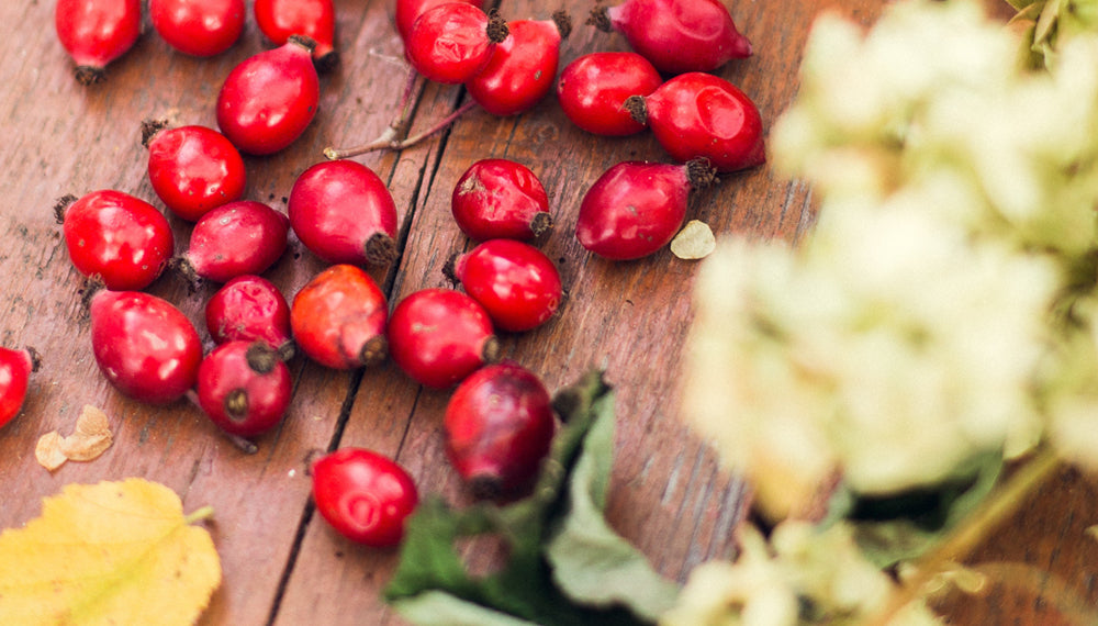 How Botanical Oils Can Help Your Skin
