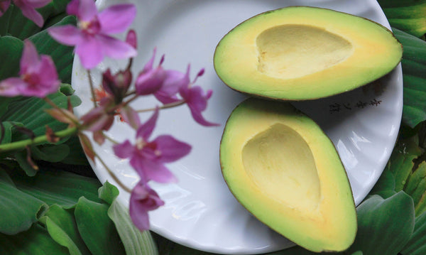 Skin Superfood | The Power of Avocado Oil